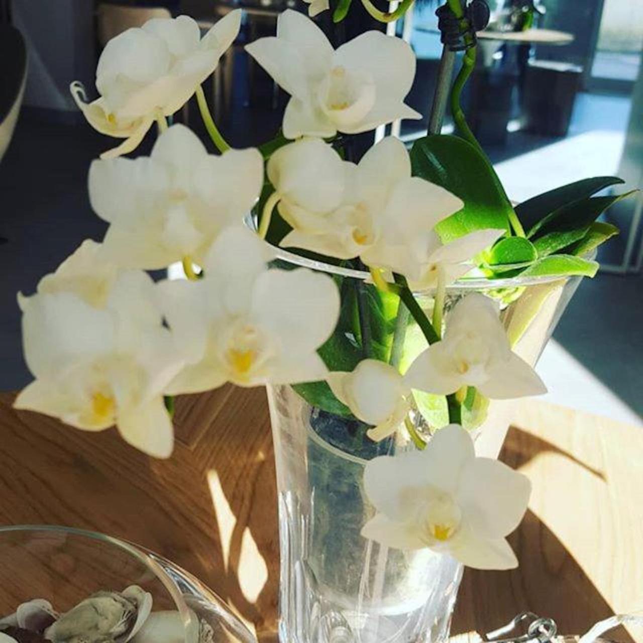 Hotel Villa Barsanti Pietrasanta Kültér fotó